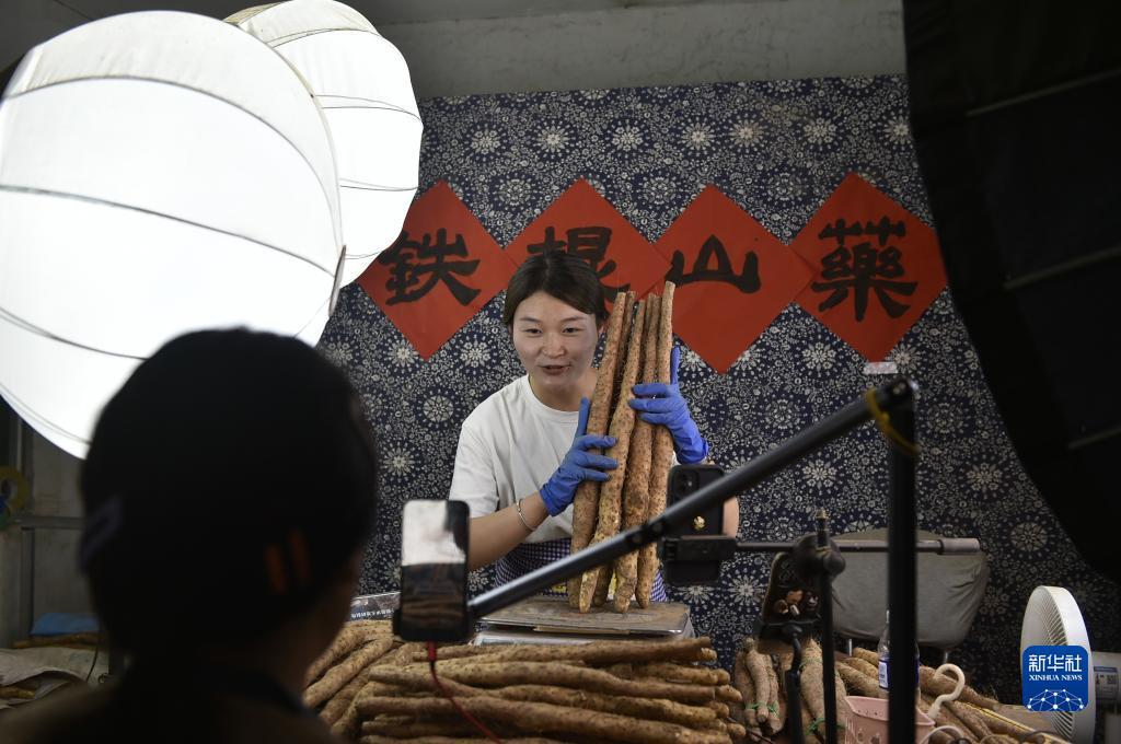 mg棋牌科技
